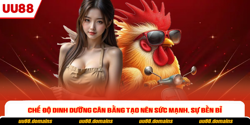 Chế độ dinh dưỡng cân bằng tạo nên sức mạnh, sự bền bỉ