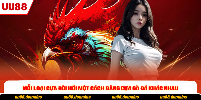 Mỗi loại cựa đòi hỏi một cách băng cựa gà đá khác nhau