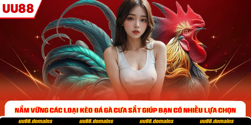 Nắm vững các loại kèo đá gà cựa sắt giúp bạn có nhiều lựa chọn